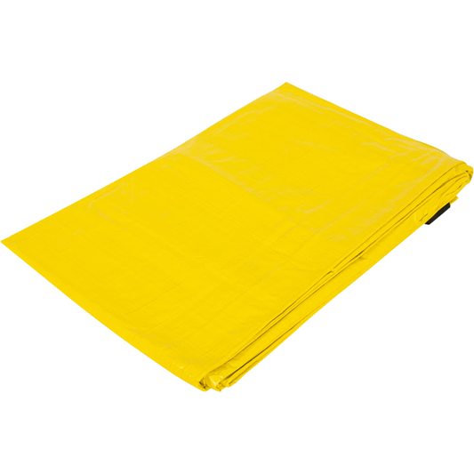 23740 Lona 3 x 3 m, amarilla, Pretul